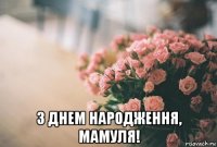  з днем народження, мамуля!