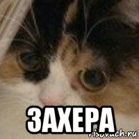  захера