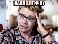 жалко птичку 