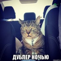  дублер ночью