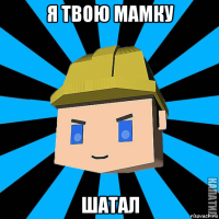 я твою мамку шатал