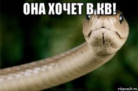 она хочет в кв! 