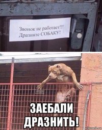  заебали дразнить!