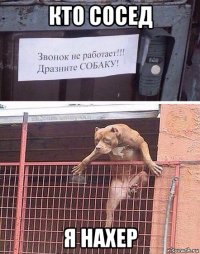 кто сосед я нахер