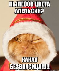 пылесос цвета апельсин? какая безвкусица!!!!!