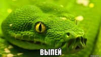  выпей