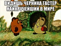 видишь черника гастер наикручейший в мире 