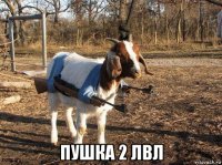  пушка 2 лвл