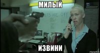 милый извини