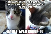 а что если только во владивостоке убитые дороги, а в других городах россии нет? да нет, бред какой-то!