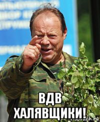  вдв халявщики!