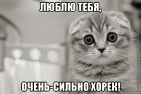 люблю тебя, очень-сильно хорек!