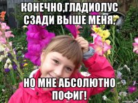 конечно,гладиолус сзади выше меня, но мне абсолютно пофиг!