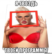 я-гвоздь твоей программы