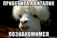 привет ира я виталик познакомимся