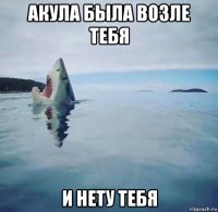 акула была возле тебя и нету тебя