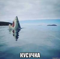  кусучка