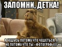 запомни, детка! я чешусь потому что чешеться, а не потому что ты - фотограф )))