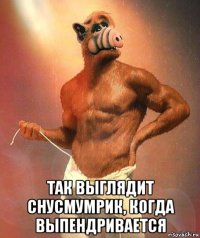  так выглядит снусмумрик, когда выпендривается