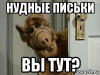 нудные письки вы тут?