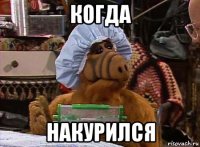 когда накурился
