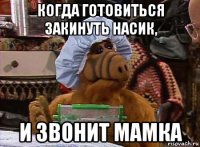 когда готовиться закинуть насик, и звонит мамка