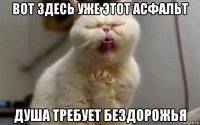 вот здесь уже этот асфальт душа требует бездорожья