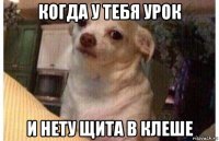 когда у тебя урок и нету щита в клеше