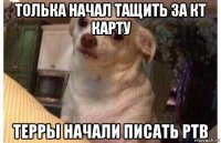 толька начал тащить за кт карту терры начали писать ртв