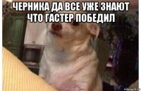 черника да все уже знают что гастер победил 