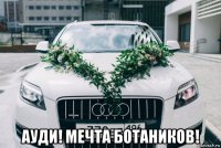  ауди! мечта ботаников!