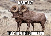 а вот тут help не открывается