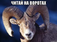 читай на воротах 
