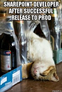 sharepoint developer after successful release to prod 