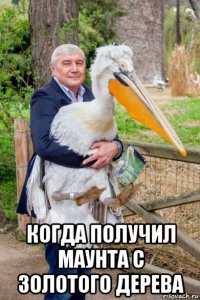  когда получил маунта с золотого дерева