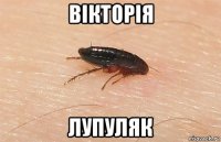 вікторія лупуляк