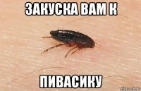закуска вам к пивасику