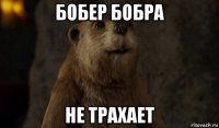 бобер бобра не трахает