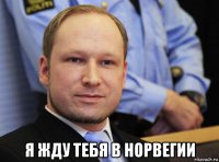  я жду тебя в норвегии