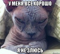 у меня все хорошо я не злюсь