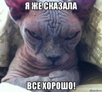 я же сказала все хорошо!