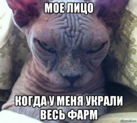 мое лицо когда у меня украли весь фарм