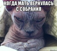 когда мать вернулась с собрания 