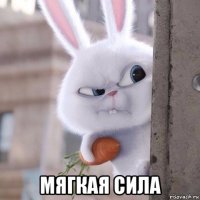  мягкая сила