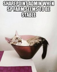 sharepoint admin when sp farm seems to be stable 