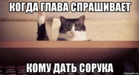 когда глава спрашивает кому дать сорука
