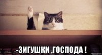  -зигушки ,господа !
