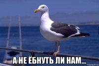  а не ёбнуть ли нам...