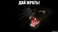 дай жрать! 