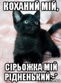 коханий мій, сірьожка мій рідненький:-*